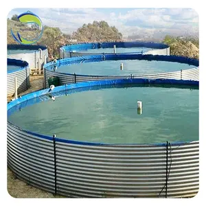 Piscinas de piscicultura de alta qualidade amplamente utilizadas tanques de peixes de tilápia ao ar livre