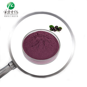 Liofilizado orgânico Açaí <span class=keywords><strong>Berry</strong></span> Fruit Pó Puro Natural Açaí <span class=keywords><strong>Berry</strong></span> Extrato Em Pó - Product Image 3