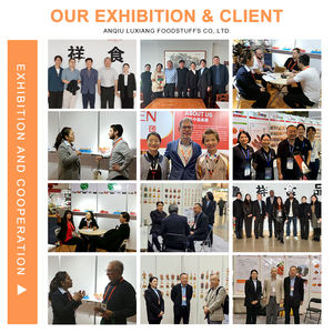 Suplemento para mascotas pollo rebanada redonda golosinas secas para perros precio golosinas baratas para perros entrenamiento de perros golosinas para mascotas - Product Image 6