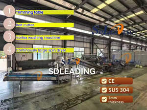 Lavadora automática <span class=keywords><strong>de</strong></span> brotes <span class=keywords><strong>de</strong></span> soja y <span class=keywords><strong>lentejas</strong></span> para plantas procesadoras <span class=keywords><strong>de</strong></span> vegetales con motor - Product Image 3