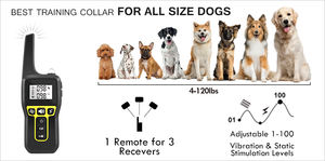 <span class=keywords><strong>Collar</strong></span> de entrenamiento para perros personalizado al por mayor con control remoto, herramienta de entrenamiento para mascotas recargable sin ladridos, collares para cachorros - Product Image 3