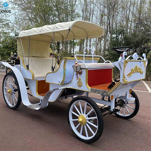 La princesse du cheval de la reine populaire monte un carrosse de mariage tiré par des chevaux de style royal européen pour des visites touristiques - Product Image 3
