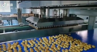 Équipement de boulangerie commercial WANLI GROUP, petite machine à gâteaux électrique, machines alimentaires pour le pain, la farine, le lait, l'eau, le maïs, les fruits, les noix, pompe