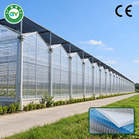 Serre à grande échelle multi-voûtes en plaques de polycarbonate, ensemble complet pour la production agricole intensive