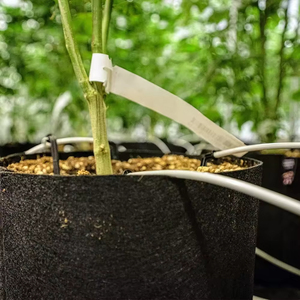 Phổ biến nhất 1/2/3/5/7/10 gallon nông nghiệp nhà máy phát triển túi chống UV cà chua phát triển Túi nhà kính may nhãn Quả Việt Quất Túi - Product Image 6