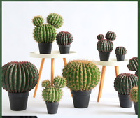 Cactus artificiel haut de gamme en PE bionique, réaliste, floqué, avec capuchon doré, grande taille, faux cactus baril d'intérieur, vente en gros