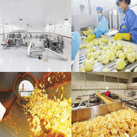 Ligne de production industrielle automatique de chips de pommes de terre : Machine à frire de 200 à 2000 kg/h pour frites surgelées et snacks