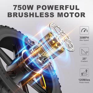 Nueva llegada jansno x50 20*4,0 Fat Tire Electric Dirt Mountain Bike 750W 48V 34A Dual baterías bicicleta eléctrica Fatbike EU/US - Product Image 4