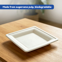 Assiette carrée jetable en pulpe de qualité alimentaire, résistante à l'huile et à la chaleur, personnalisable pour fêtes, pique-niques et barbecues