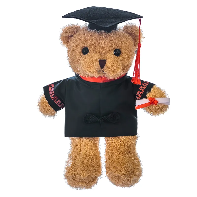 Oso de peluche de graduación de la Universidad de la nueva escuela con Doctor Dr. Bear, ropa de soltero para regalo de recuerdo de graduación de Estudiante