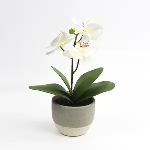 Toptan Mini yapay Bonsai gerçek dokunmatik kelebek orkide bitki