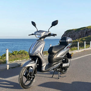 Scooter électrique pour adultes homologué pour la route en UE, 1000W, 48V, batterie au lithium 40AH, 2 places, homologué EEC COC, assistance au pédalage, sans <span class=keywords><strong>permis</strong></span> de <span class=keywords><strong>conduire</strong></span> - Product Image 6