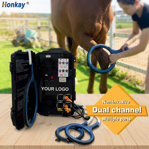 Appareil de massage corporel PEMF à écran tactile pour chevaux, entraînement gratuit, relaxation musculaire, récupération PEMF, pour clinique vétérinaire - Product Image 1