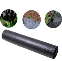Couvre-sol tissé en plastique agricole pp tapis de contrôle des mauvaises herbes tissu barrière contre les mauvaises herbes telo pacciamatura tissu de paysage