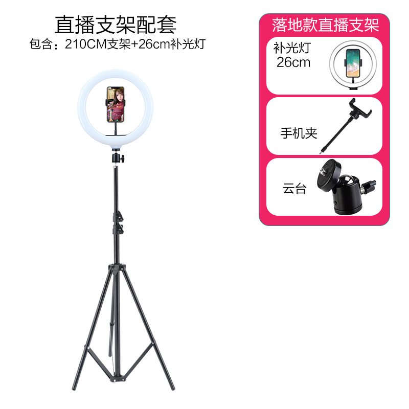 Support de 2,1 mètres, lumière de 26 cm