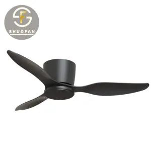 220 volt American style light fan 3 ABS blades black dc bldc ceiling fan with light and remote control