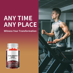 Vanwin Venta al por mayor Etiqueta privada Pre entrenamiento Vitamina B12 Suplementos de energía HALAL Vegan Bear Creatina Monohidrato Gummy 5000mg - Product Image 4