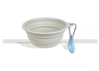 Bol d'eau pliable pour chien, portable, étanche, extensible, moderne, en silicone solide, pour l'intérieur et l'extérieur