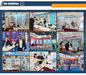 Apósito Transparente de Malla de PU, Impermeable, Adhesivo, de Grado <span class=keywords><strong>M</strong></span>édico, para Reparación de Tatuajes y Piel - Product Image 5