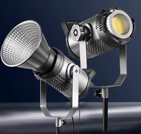 Lumière de studio professionnelle 300W Daylight Bowens COB LED pour vidéo et photo, éclairage pour tournage de films, coque métallique