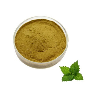 Extrait d'<span class=keywords><strong>Ortie</strong></span> à Prix d'Usine, Vente Chaude, Extrait de Feuilles d'<span class=keywords><strong>Ortie</strong></span> 100% Naturel, Poudre d'Extrait de Feuilles d'<span class=keywords><strong>Ortie</strong></span>, 0,8% de Poudre de <span class=keywords><strong>Silice</strong></span> - Product Image 1