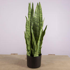 65cm respetuoso del medio ambiente <span class=keywords><strong>Sansevieria</strong></span> serpiente <span class=keywords><strong>Planta</strong></span> Artificial dentro <span class=keywords><strong>de</strong></span> las plantas <span class=keywords><strong>de</strong></span> casa verde - Product Image 3