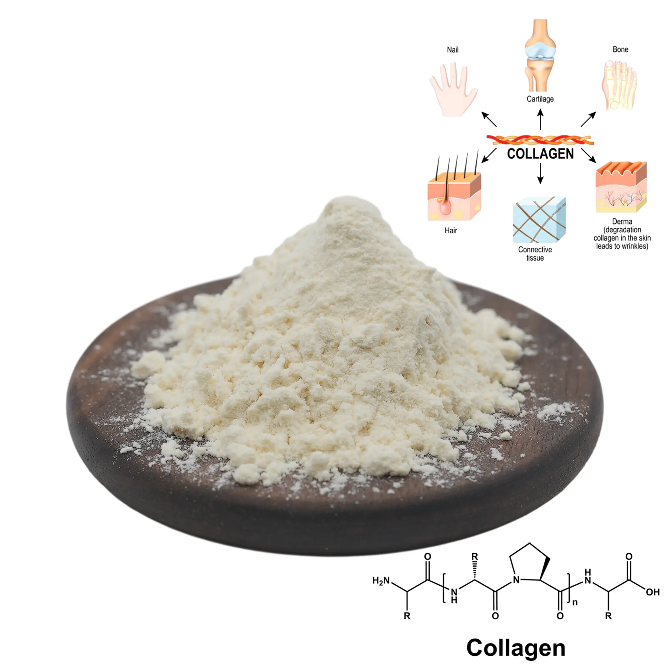 Kosmetisches Rohmaterial 98% reines hydrolisiertes Fischkollagen Peptide Pulver Rinderkollagen Peptide Pulver