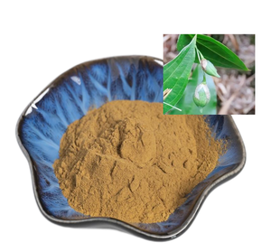 天然テルミナリアベリリカ種子抽出物バヘダ抽出物10:1テルミナリアベリリカ抽出物 - Product Image 2