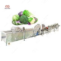 Gelgoog Reinigingsapparatuur voor vers fruit en groenten, fruit- en groentenrollerborstel reinigingsmachine