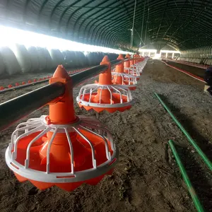 Moderne Conception L'élevage De Poulet Maison Volaille Matériel Agricole