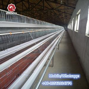 Sistema Automático de Eliminación de Estiércol para Jaulas de Aves de Corral Tipo A/Gallinero para Gallinas Ponedoras - Product Image 5