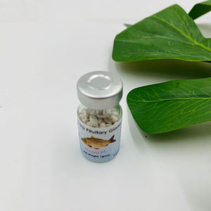 จัดหาที่มีคุณภาพสูงปลาคาร์พต่อมใต้สมอง - Product Image 6