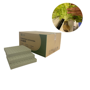 Cubos de Cultivo Hidropónico de Espuma Fenólica Pequeños con 90-98% de Espacio de Poros para el Desarrollo de Raíces de Cáñamo en Sistemas Hidropónicos Automáticos - Product Image 4