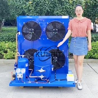 3HP 5HP 10HP 13HP Maneurop Nouvelle unité de compresseur côté stockage à froid sortie d'air ouverte unité refroidie par air R290/380V R404