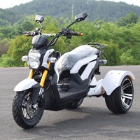 Triciclo Eléctrico Abierto de 1000-1500W con Batería Grande de 60v-72v, Logotipo y Color Personalizables