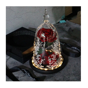 Dôme de verre pour toujours rose dans dôme de verre rose clair la belle et la bête rose dans verre led - Product Image 4
