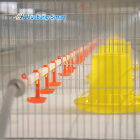 Cage à poulets de chair automatique de type H, galvanisée à chaud, prix usine, équipement d'élevage de poulets de chair, système d'élevage en batterie pour poulaillers