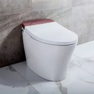 Electric smart toilet system with two kands of toilet spray guns to chose