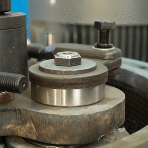 Machine à granulés de bois à usage commercial Anneau vertical Die Machine à granulés Biomasse Ligne de production de granulés de bois à vendre - Product Image 5