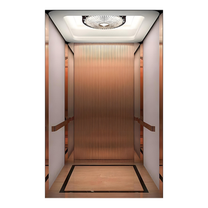 Mini-ascenseur résidentiel extérieur pour maison et villa, capacité 200 kg, 2-3 étages, idéal pour l'extérieur et les petites habitations. - Product Image 5