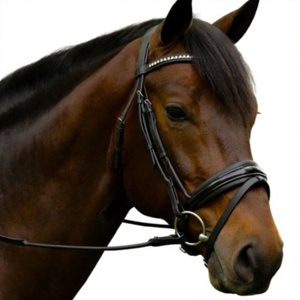 Heavy Duty Leather Polo Style Full Size Horse Bridles for <b>Equestrian</b> Use Adjustable Custom Packaging Wholesale - Product Image 5