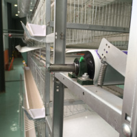 Système de cages à poulets automatiques à manivelle manuelle pour 128/160 oiseaux, type H, cages en batterie galvanisées pour l'élevage avicole à grande échelle