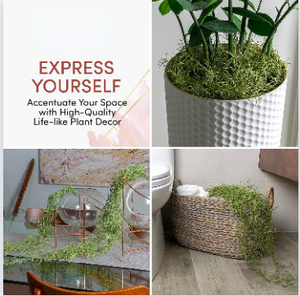 Plantas colgantes de <span class=keywords><strong>musgo</strong></span> Artificial, <span class=keywords><strong>musgo</strong></span> Artificial de imitación, <span class=keywords><strong>musgo</strong></span> realista <span class=keywords><strong>español</strong></span>, para decoración de vides, terrario - Product Image 5