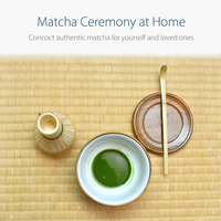 Ensemble de fouet à matcha de cérémonie japonaise de vente chaude bol à matcha vintage unique Chawan