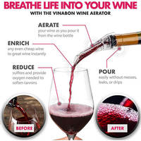 Aérateur d'air de saveur Premium Bouteilles de vin Aération Verseur Décanteur Bec Aérateur de bouteille de vin