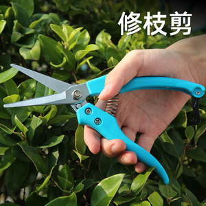 Blue Stemmed Straight Headed Fruit Picking Shears Stainless Steel Bypass Pruner 10-20 Mm Trimming Diameter Gardening Tool - Product Image 2