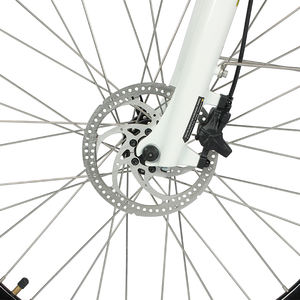 <span class=keywords><strong>Vélo</strong></span> <span class=keywords><strong>électrique</strong></span> urbain populaire à longue portée, <span class=keywords><strong>batterie</strong></span> 36V18.2Ah, frein hydraulique, fourche à suspension, 7 vitesses, avec porte-bagages, stock européen - Product Image 6