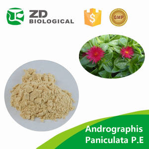 Заводская поставка, экстракт andrographi Paniculata с чистым 98% 5% андрографолидом - Product Image 3