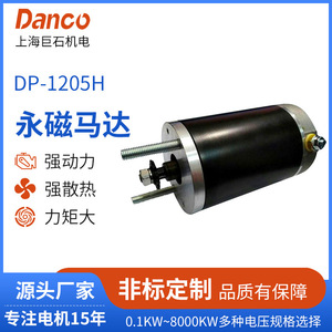 Motor de CC con Escobillas de Imán Permanente Megalith DP-1205H, 12V 0.7HP 3100RPM para Equipos de Elevación Agrícola - Product Image 5