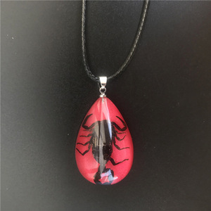Collar con Colgante de Resina Transparente con <span class=keywords><strong>Insectos</strong></span> Reales, Collar con Espécimen de Insecto, Joyería para Hombre - Product Image 6